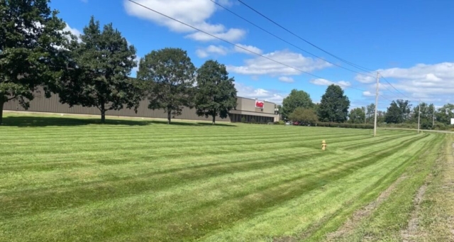 mowing coca cola